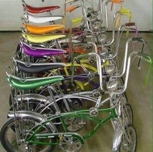 Meet your Posher, Robert